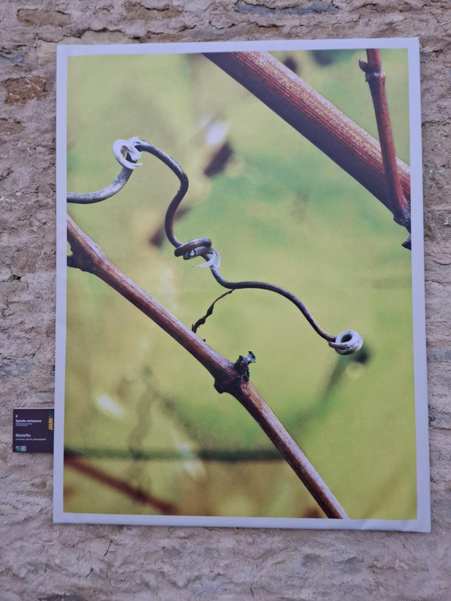Maison d'Eusébia Château-Chalon Extérieur photo